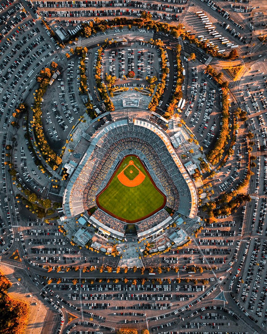 The World tweet media