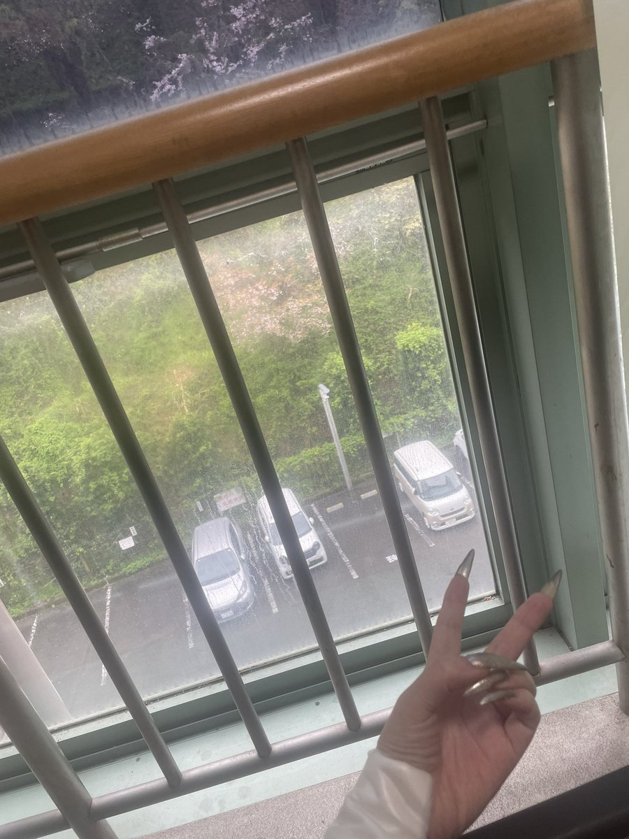 くろまる tweet media