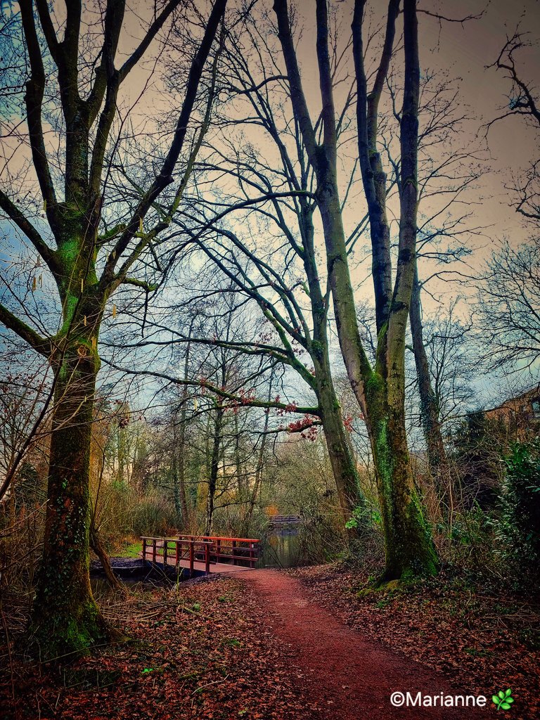 Marianne Rouwendal🌿 tweet media