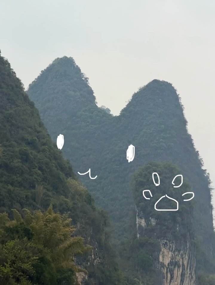 星野ふじ tweet media