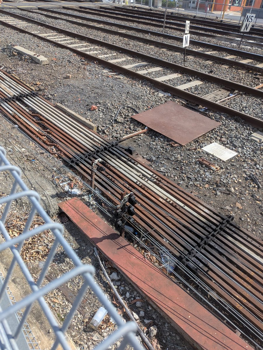 Hotel 7 // Lavender tweet media