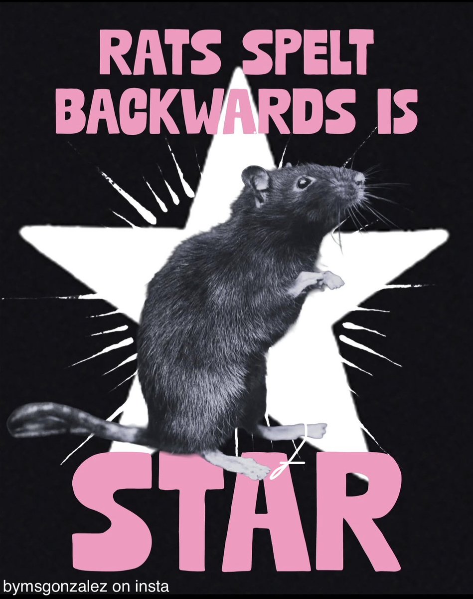 jem 𖢻 tweet media