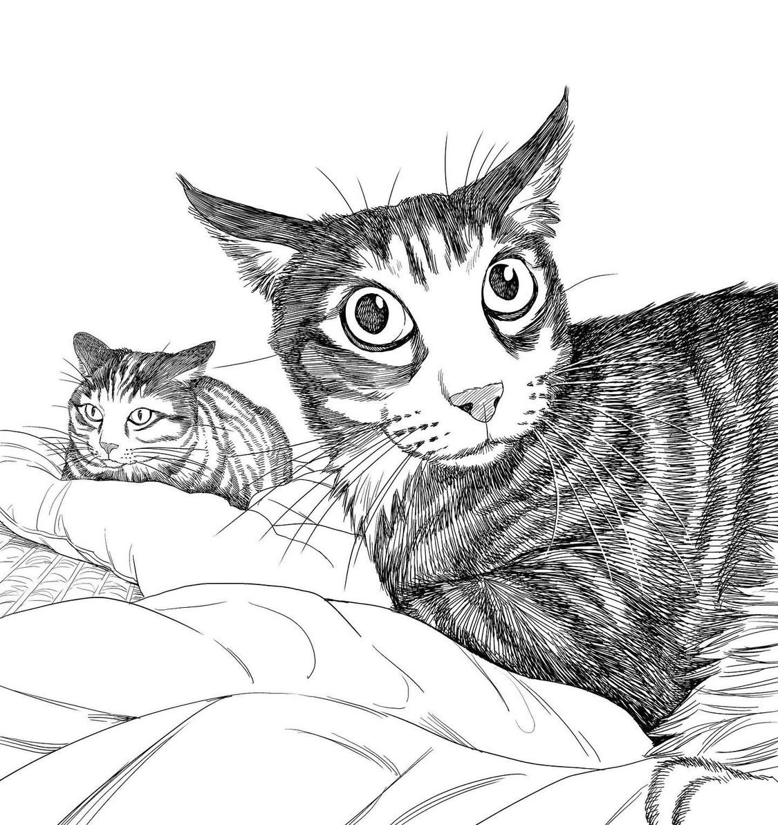 sato l 金田サト tweet media