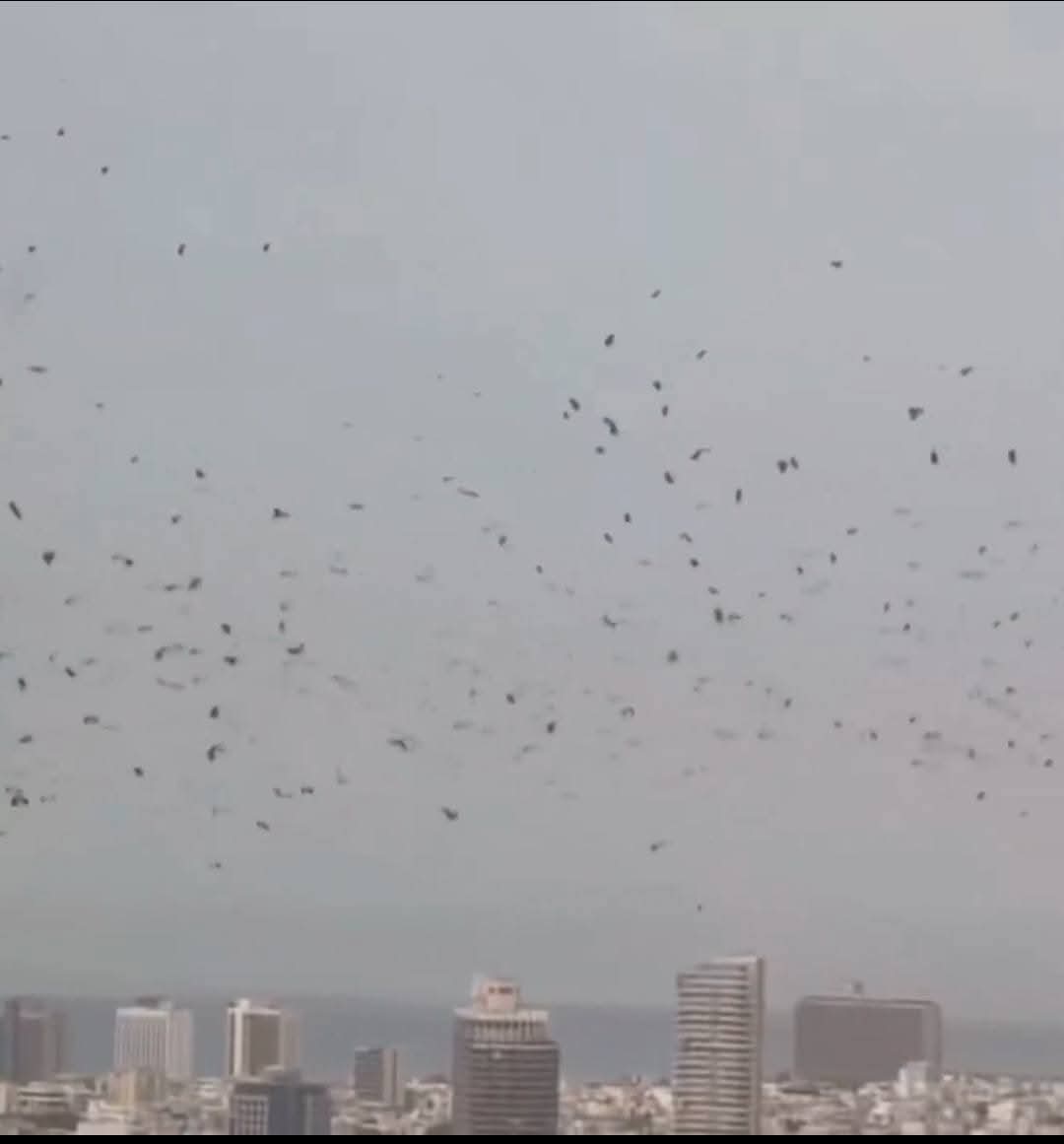 ᵐᵗᵠ tweet media