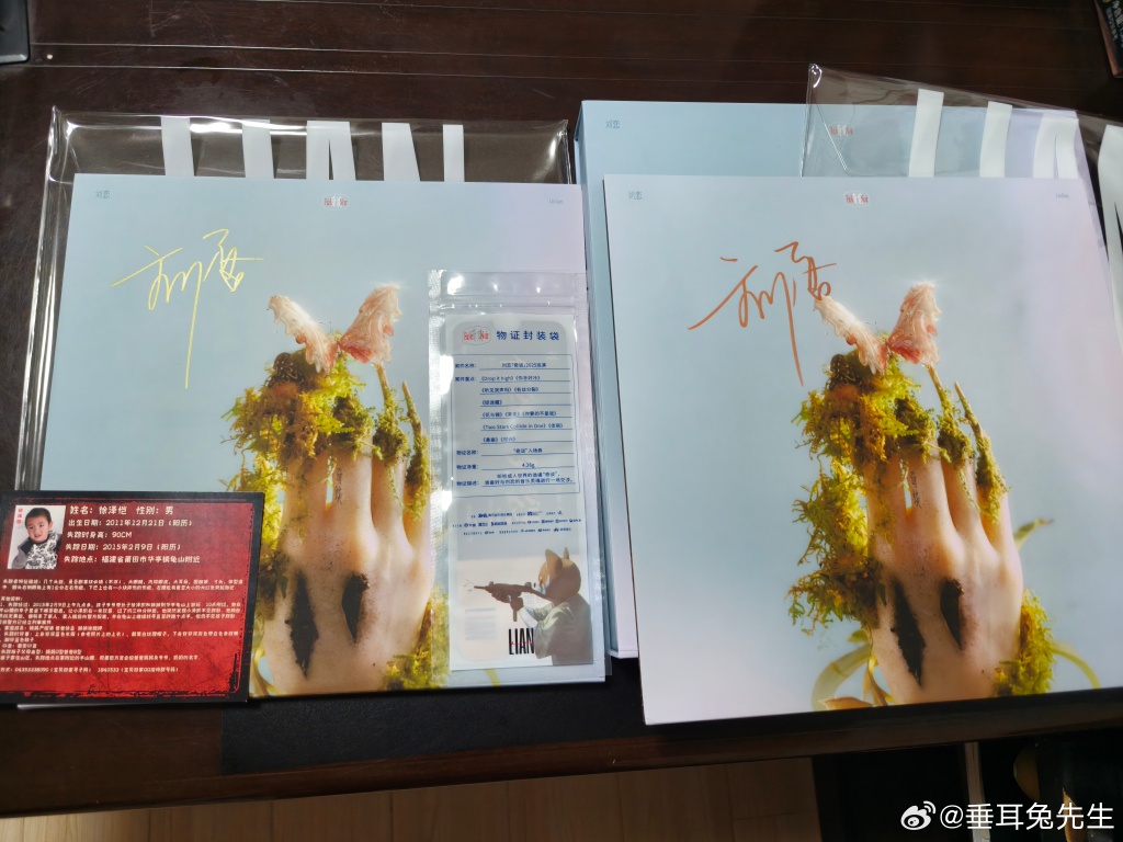 Alexandra Lucido tweet media