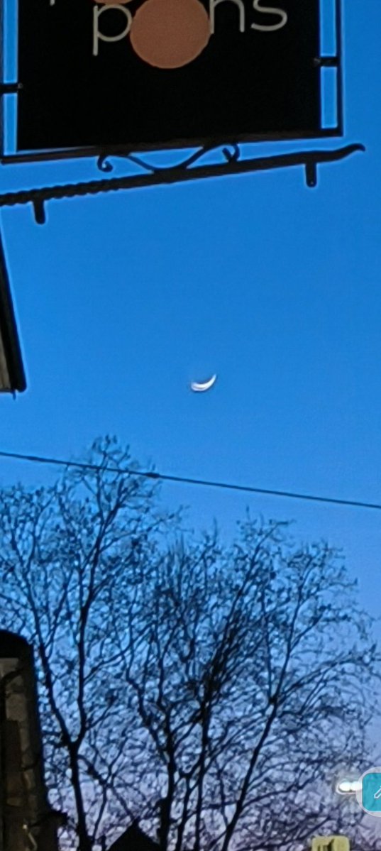 Alyaa Gad علياء جاد 𓋹 🜓 🜖 tweet media