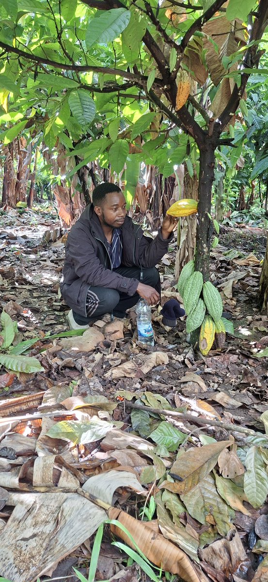 Thomas-Josephat tweet media