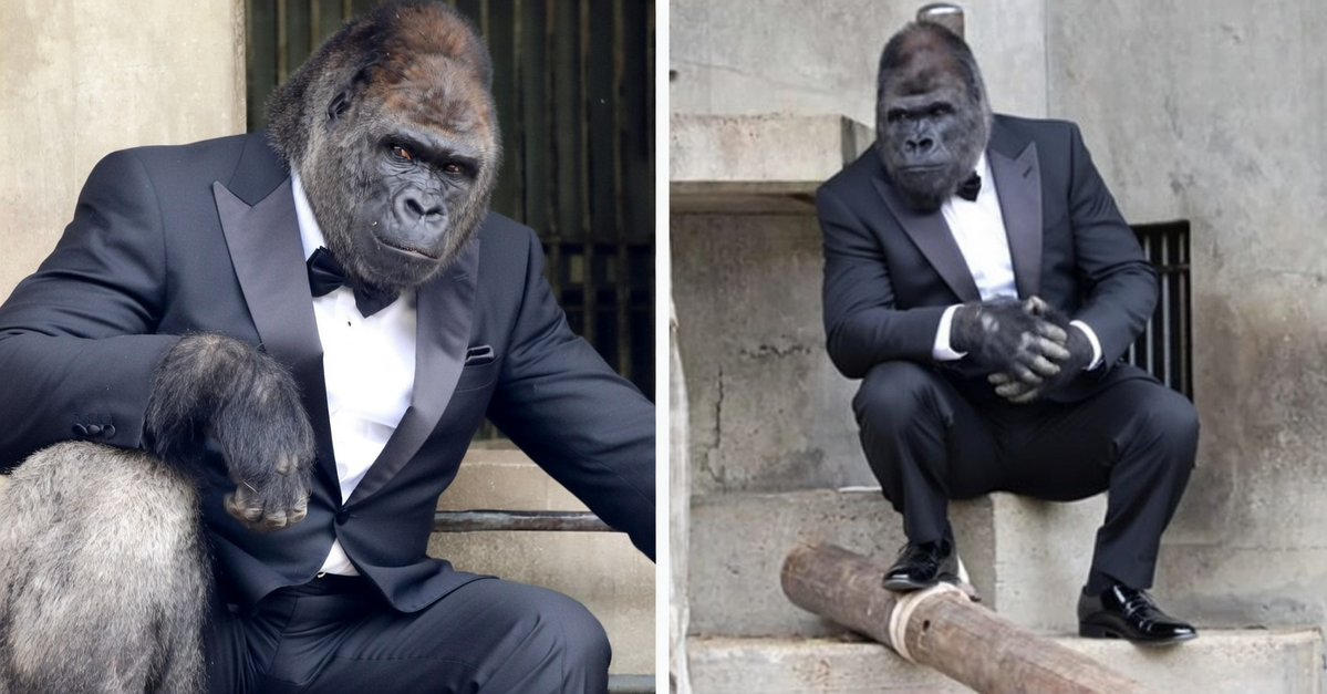 Amit Kumar tweet media