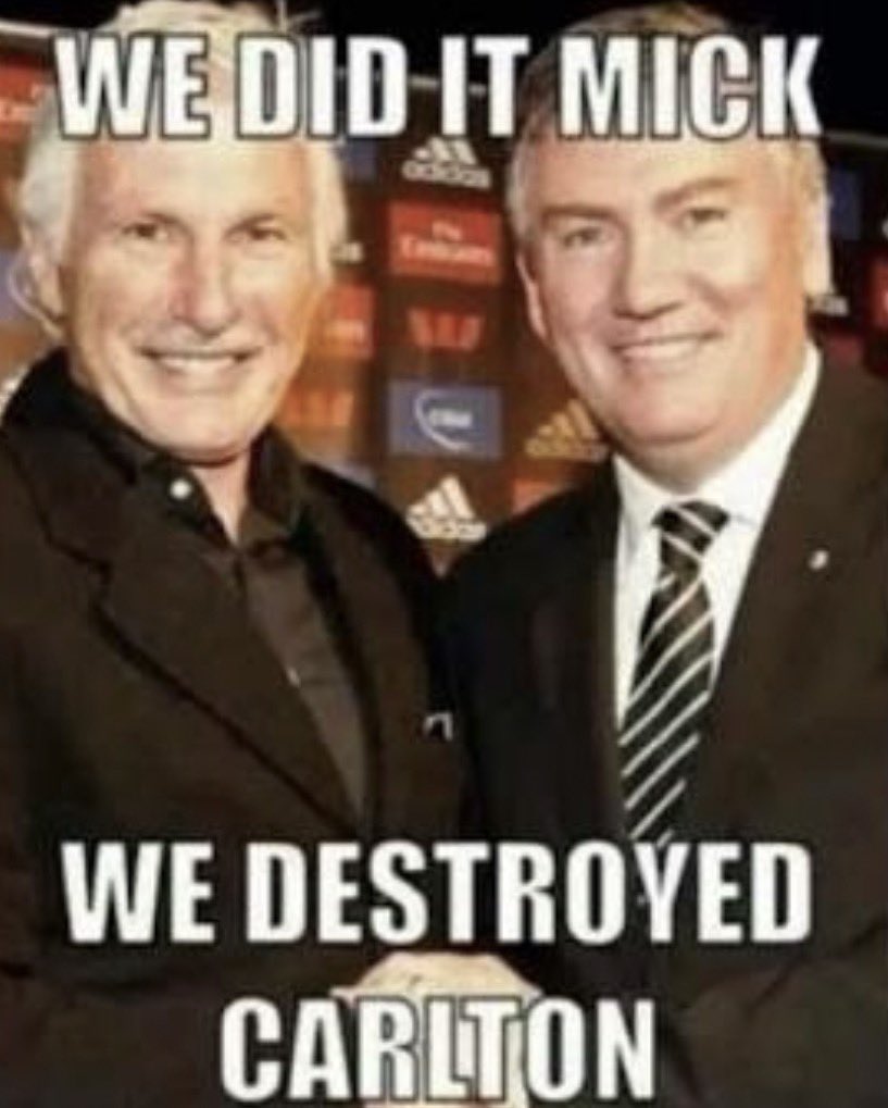 Guy Incognito tweet media