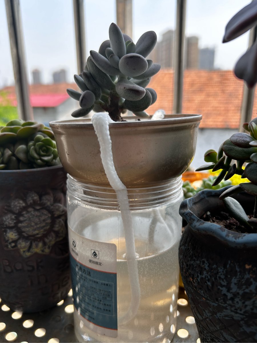 Jeffrey H. tweet media