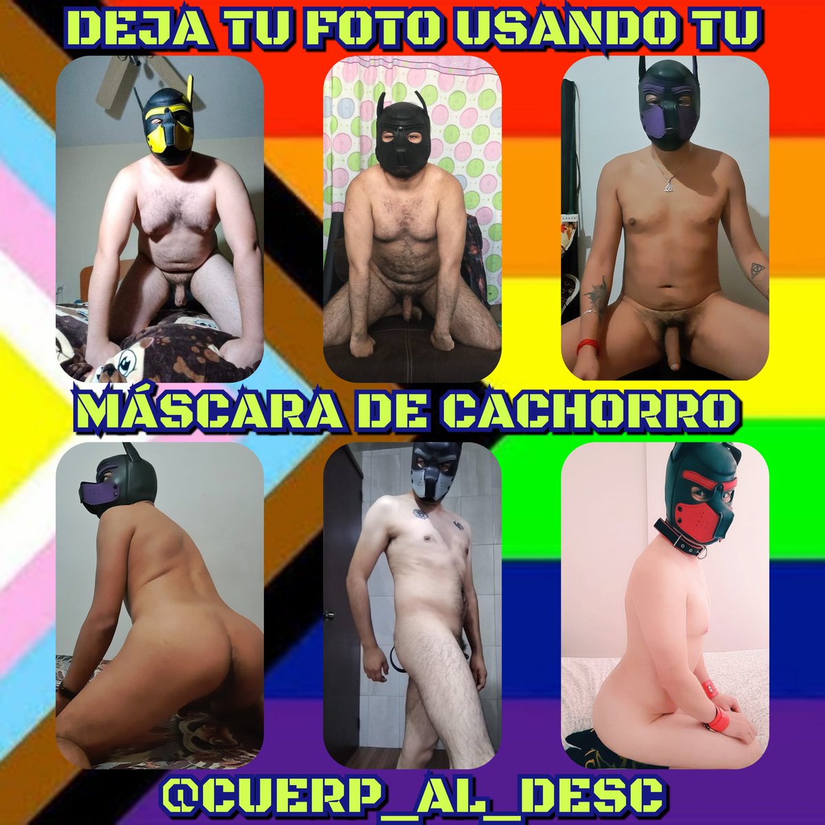 Cuerpos al descubierto tweet media