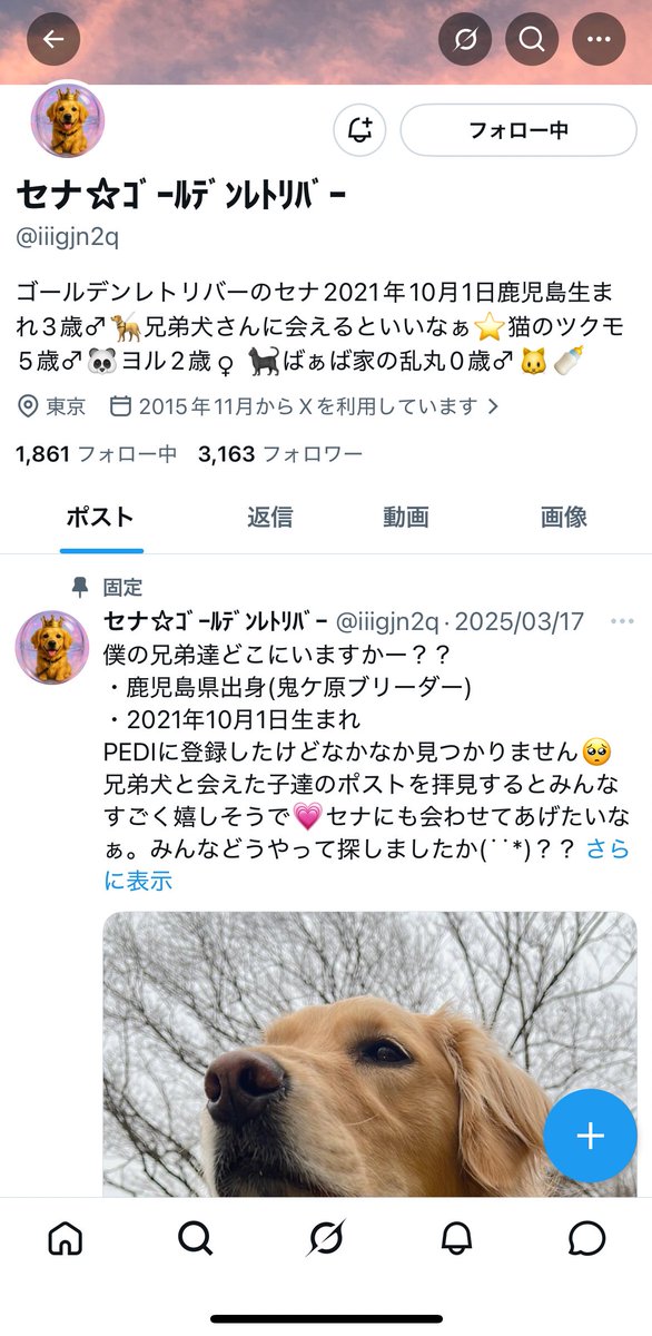 セナニキ tweet media