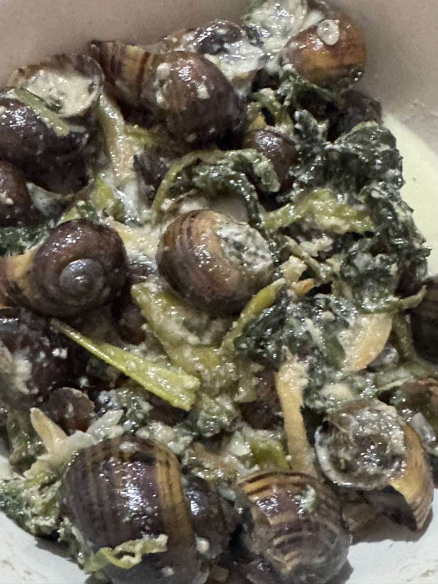 Angela Cecilia tweet media