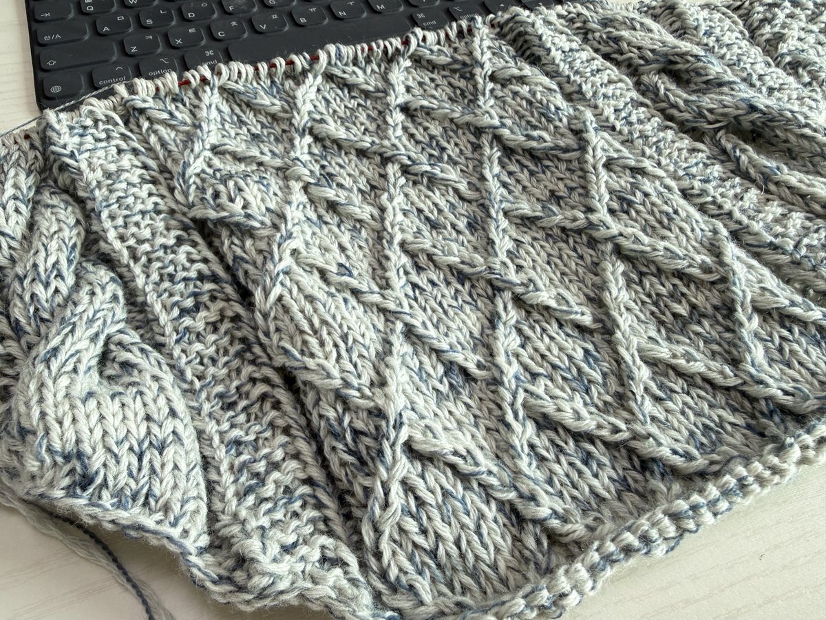 knit_gamjya's tweet photo. 26.03.24
모비스웨터 맨 다시 CO

🧶솜솜뜨개 그믐 2합 이터널그레이, 올디브 달의왈츠 lace
🪡트리퍼 5mm https://t.co/Y1hZLTIxZs