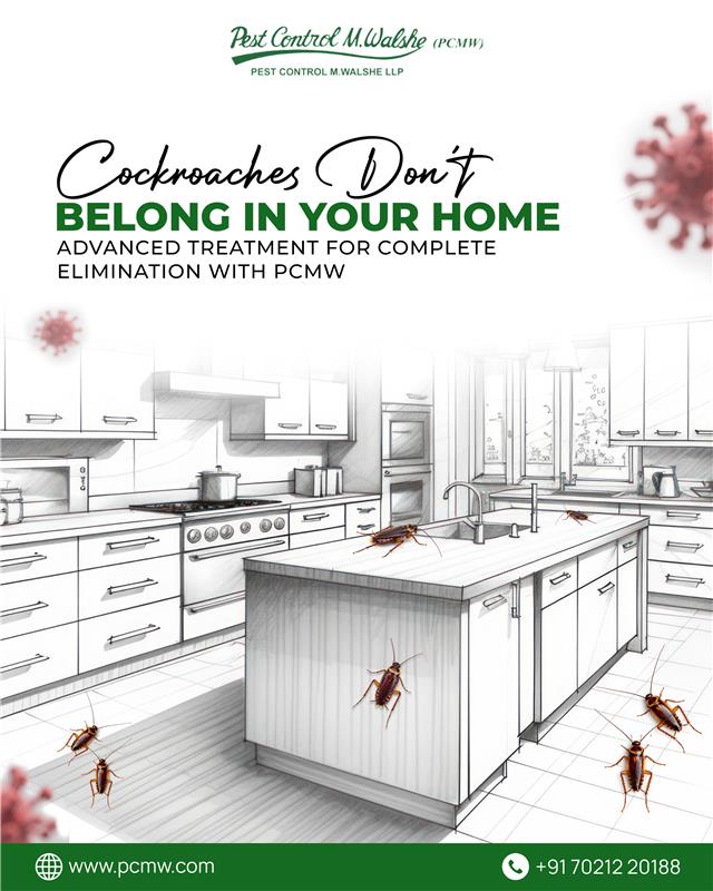 Pest Control M Walshe tweet media