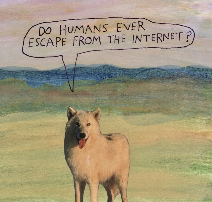 Lacan in Australia tweet media