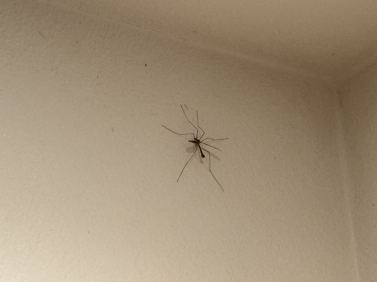 DanielFireCopter tweet media