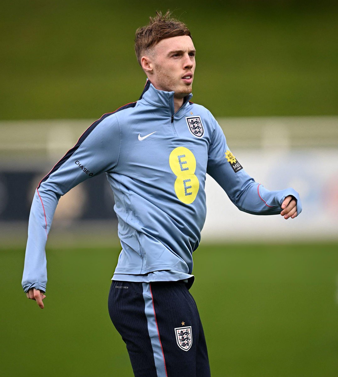 CFC Plays tweet media