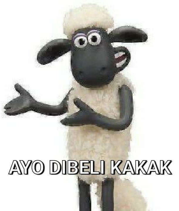 Quina🌞 jual followers ig instagram tiktok murah tweet media