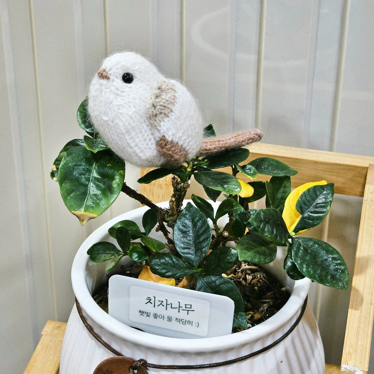 주모여기(뜨개구리 사랑중) tweet media