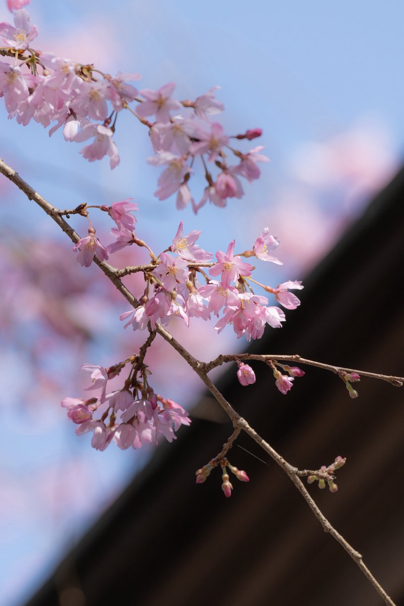 MOA美術館　エムオーエービジュツカン tweet media