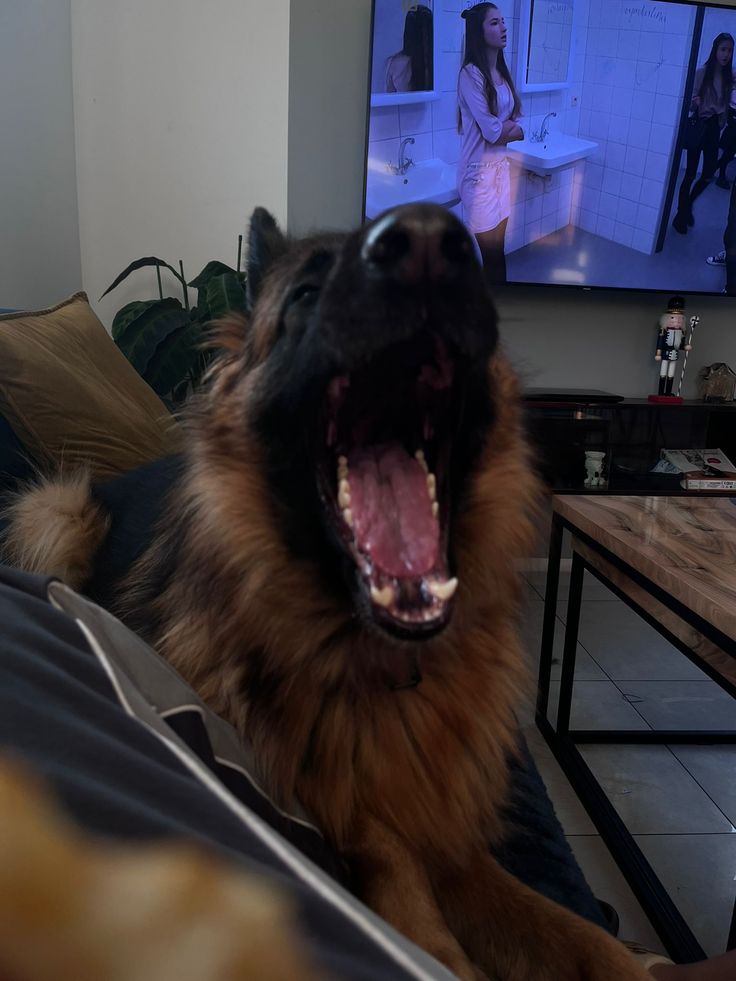 Vortex 🌪️ tweet media