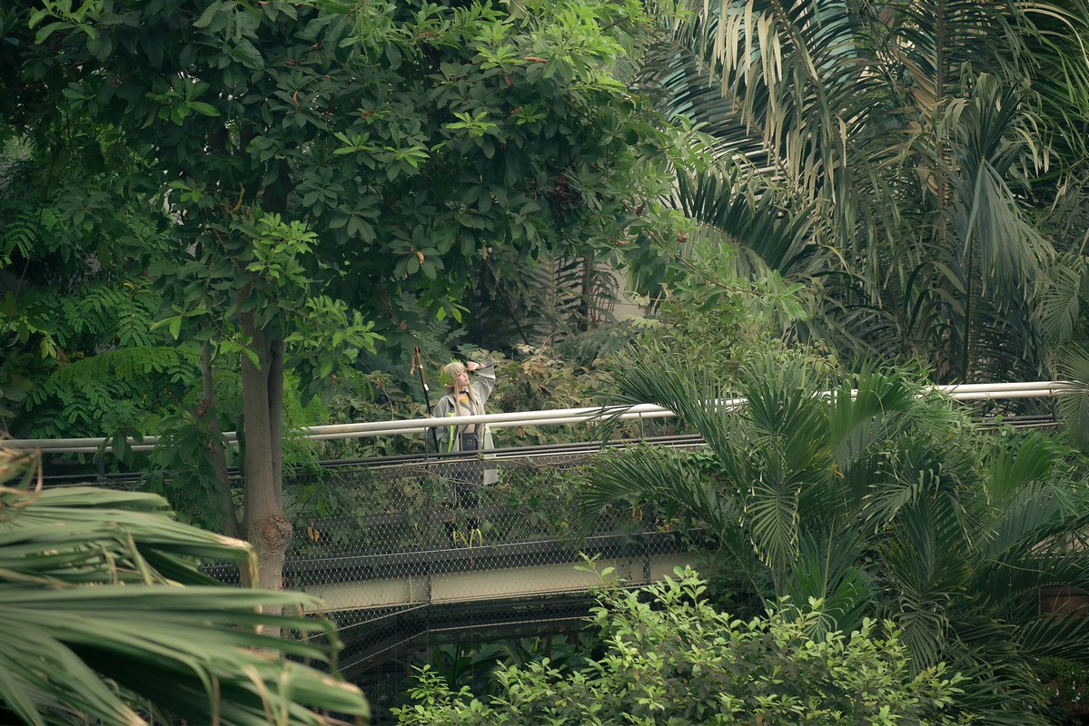 ꒰১KUMA魔王໒꒱ tweet media