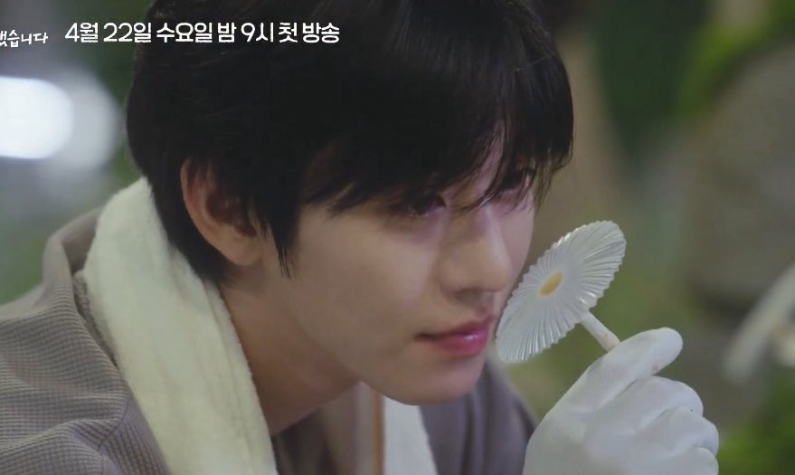 아는개산책 tweet media