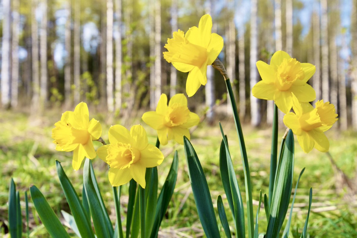 A.A.Milne tweet media