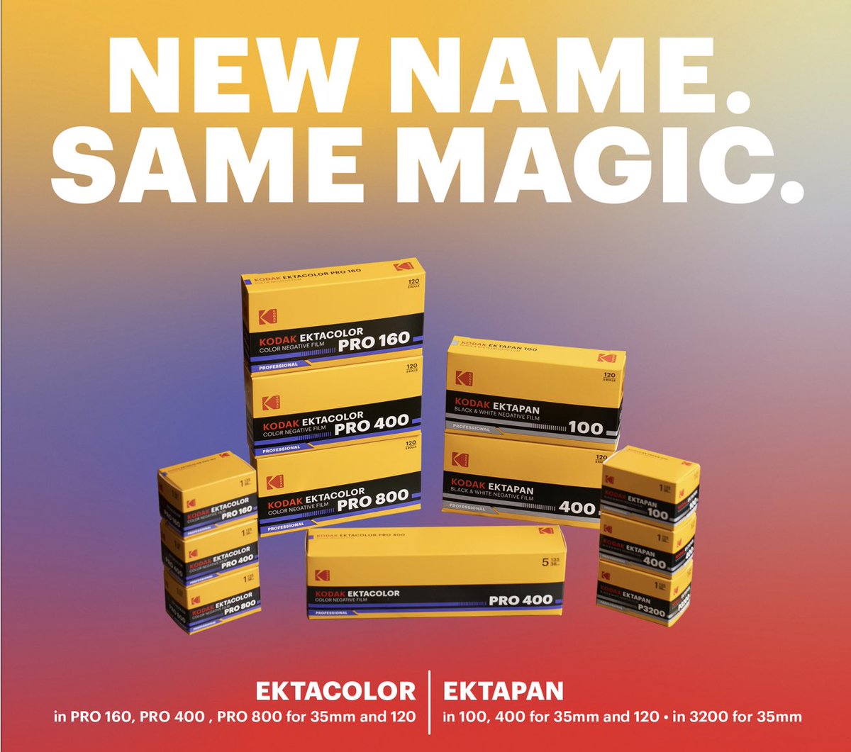 かわうそ商店 Kawauso-shote tweet media