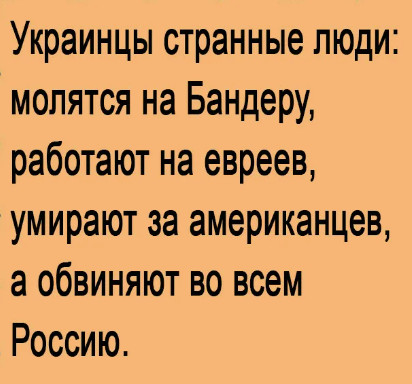 Владимир tweet media