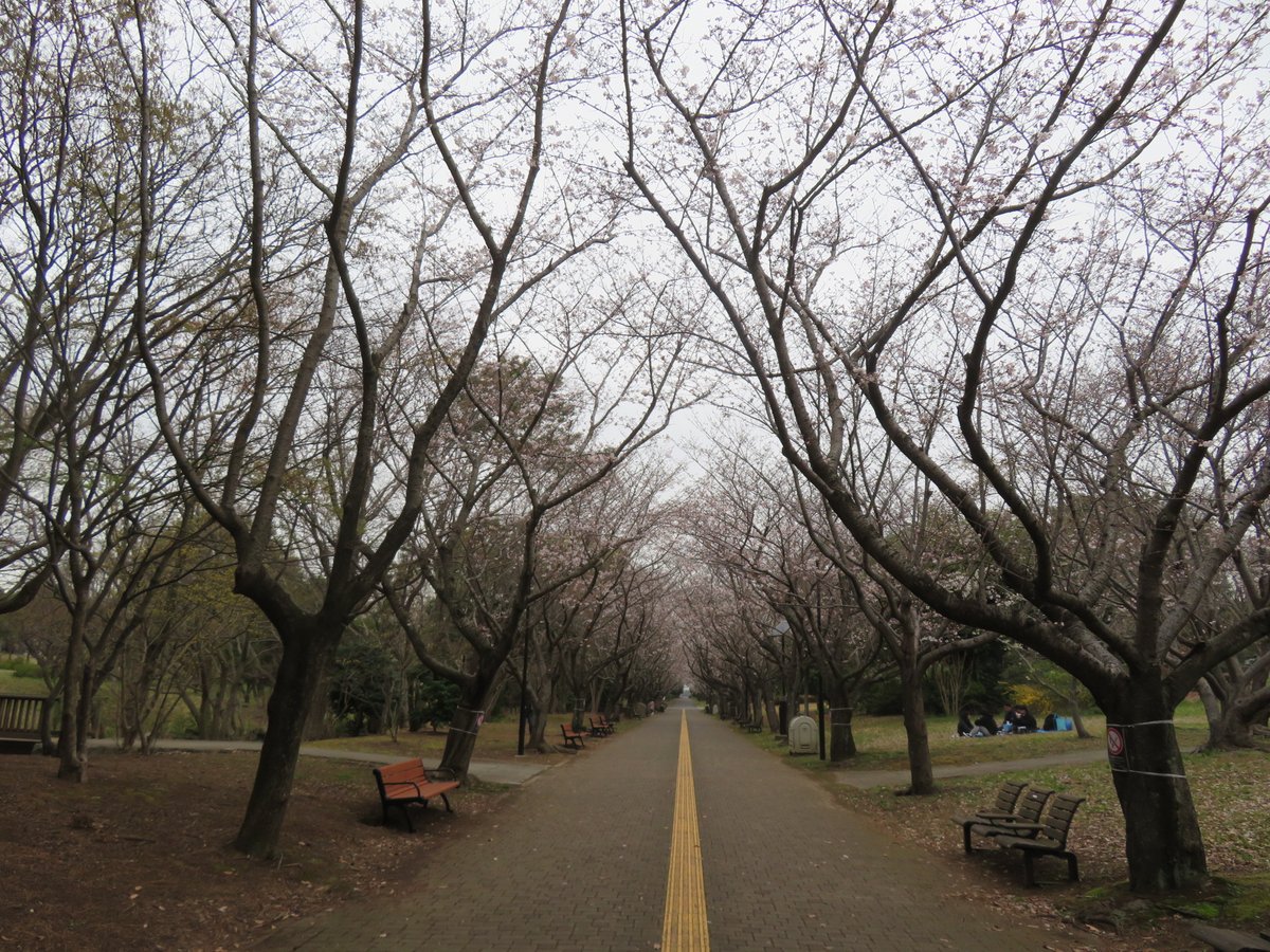 都立葛西臨海公園 tweet media