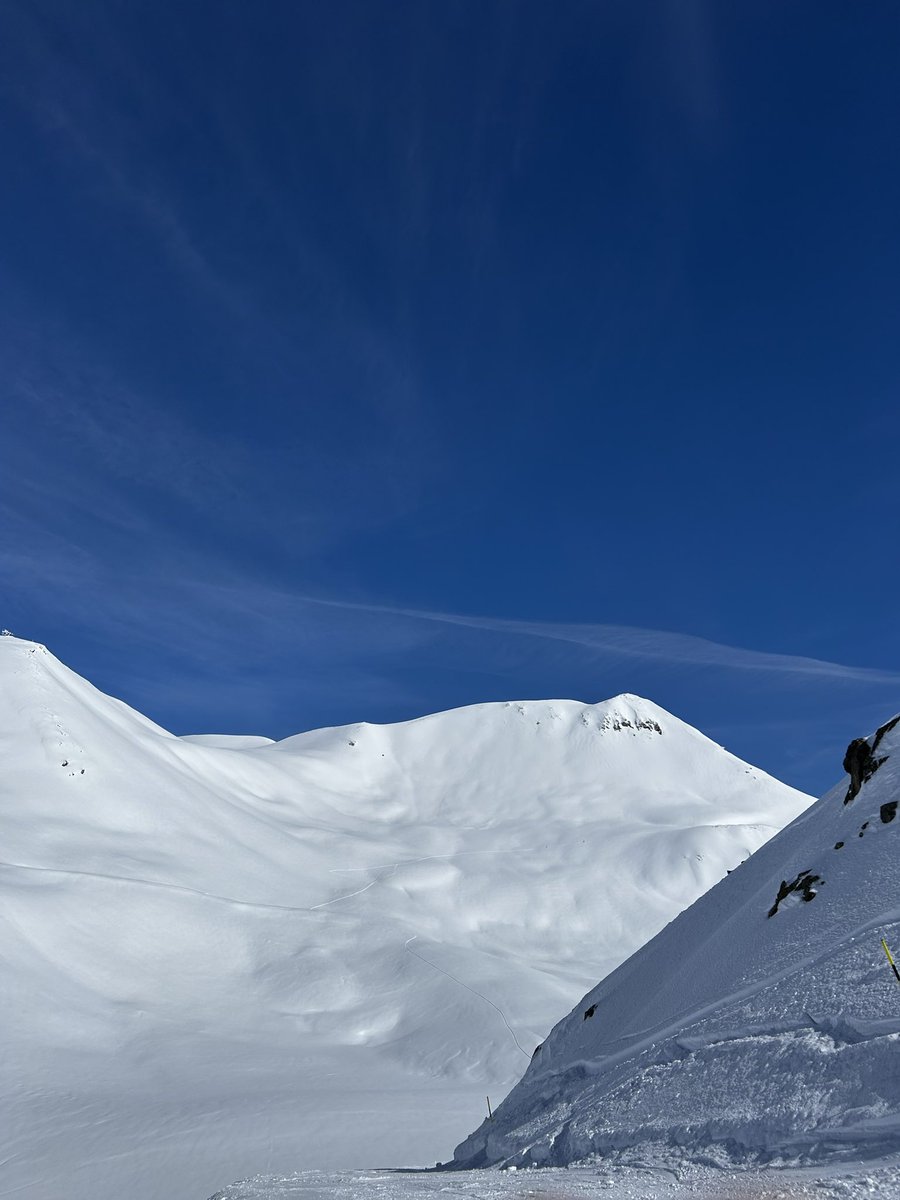 Blunted Beats tweet media