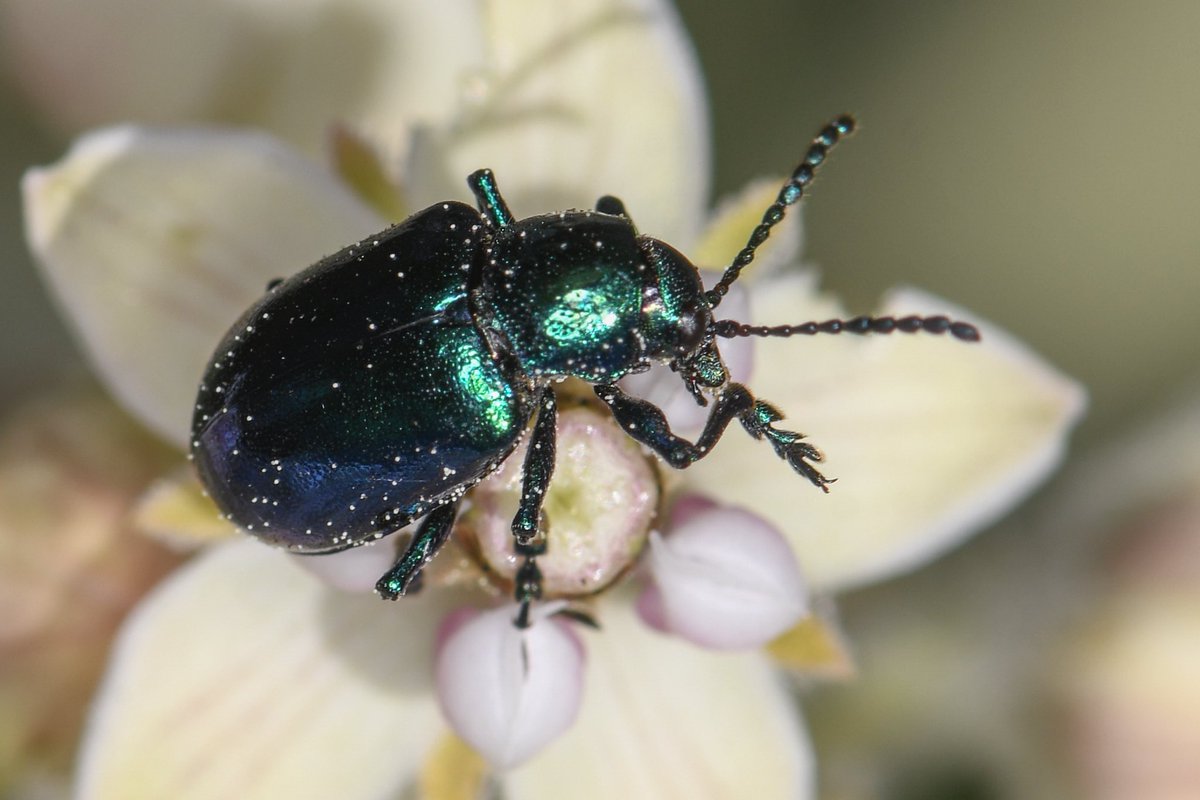 ✨Okappin✨ (@ookappin) on Twitter photo 