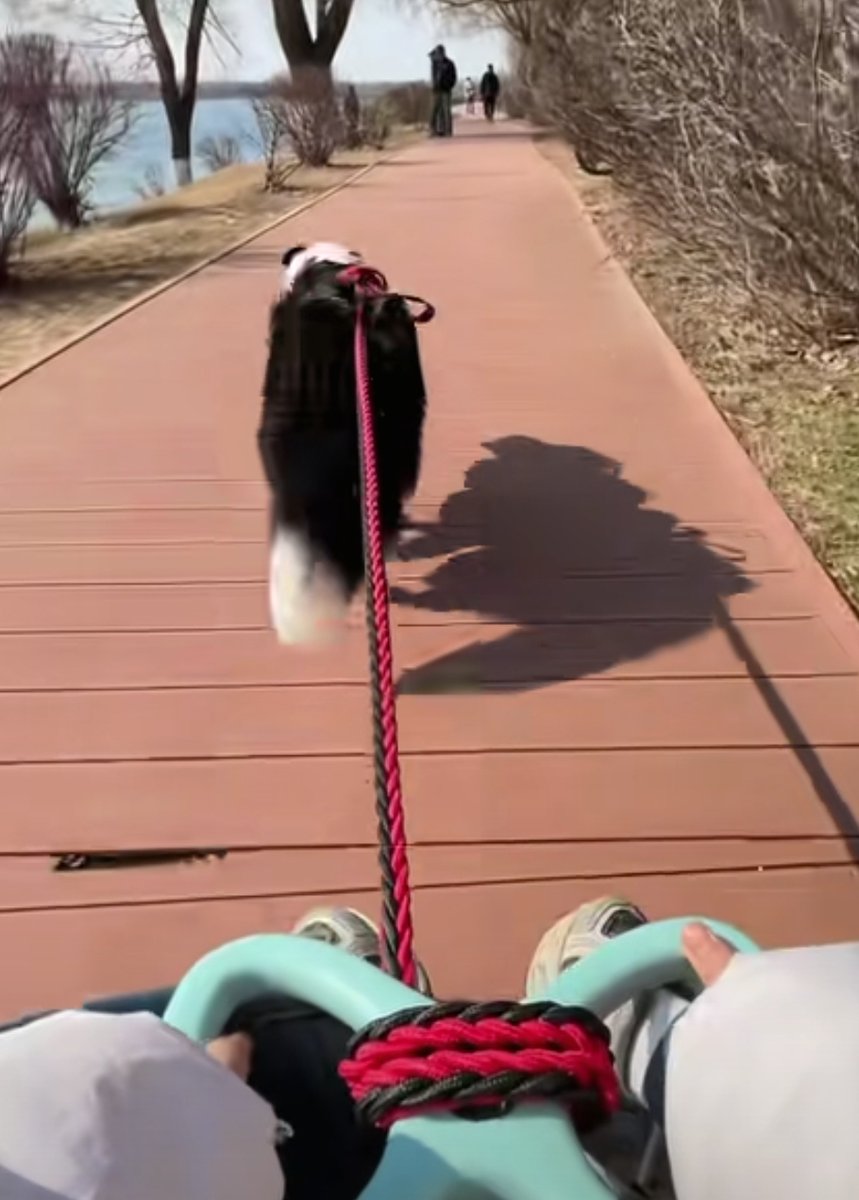 xavier peralta tweet media