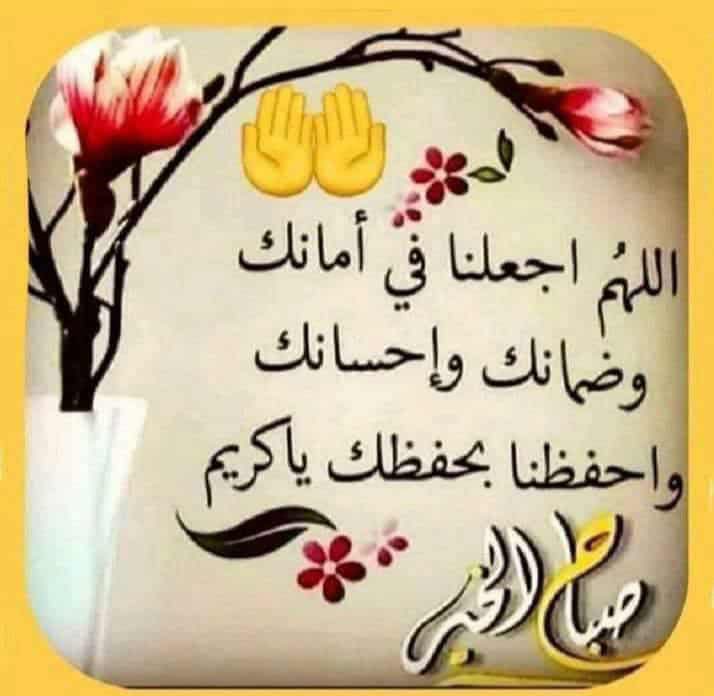 NANY ♥️🌹 tweet media