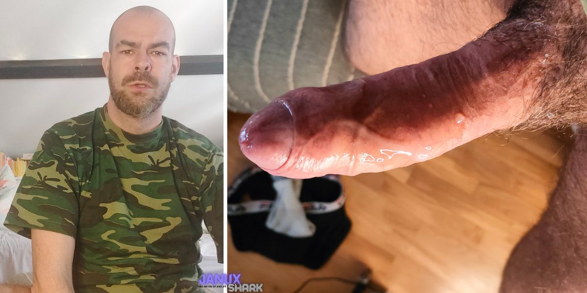 JanuxShark tweet media