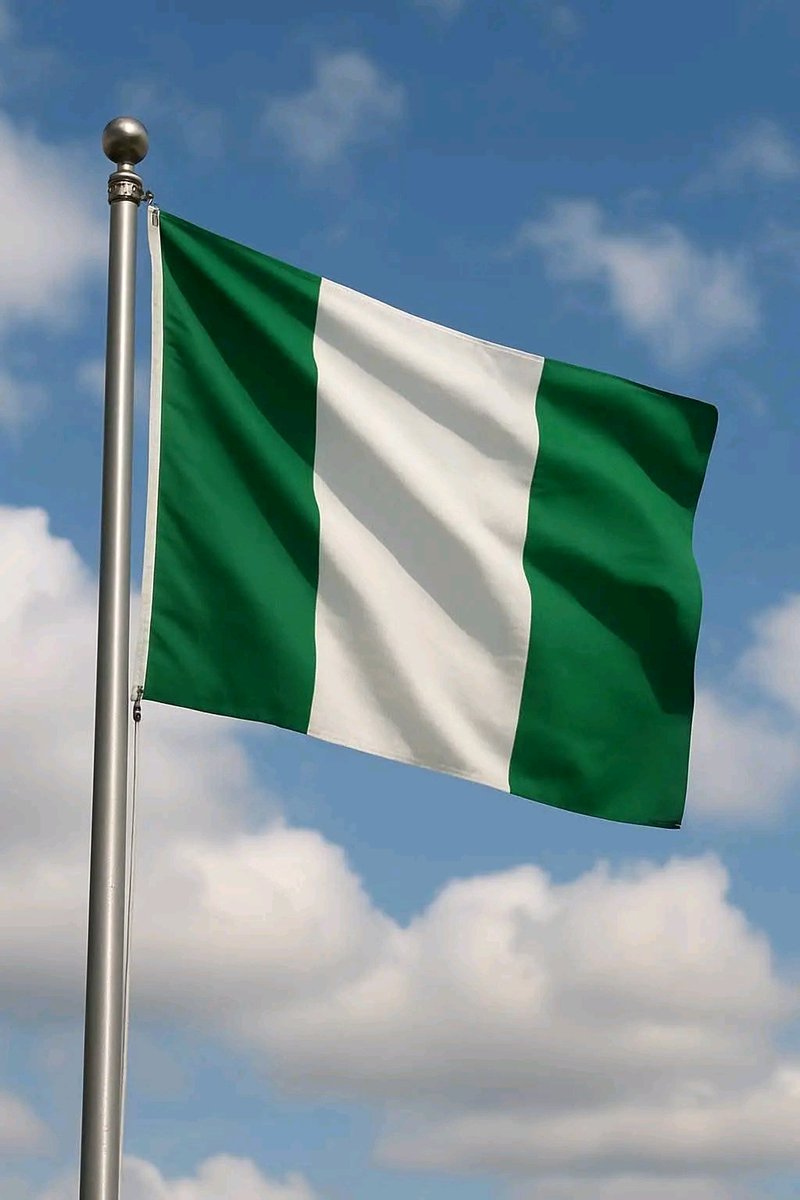 IBRAHIM .A. OYEDEPO ALMARKAZY tweet media