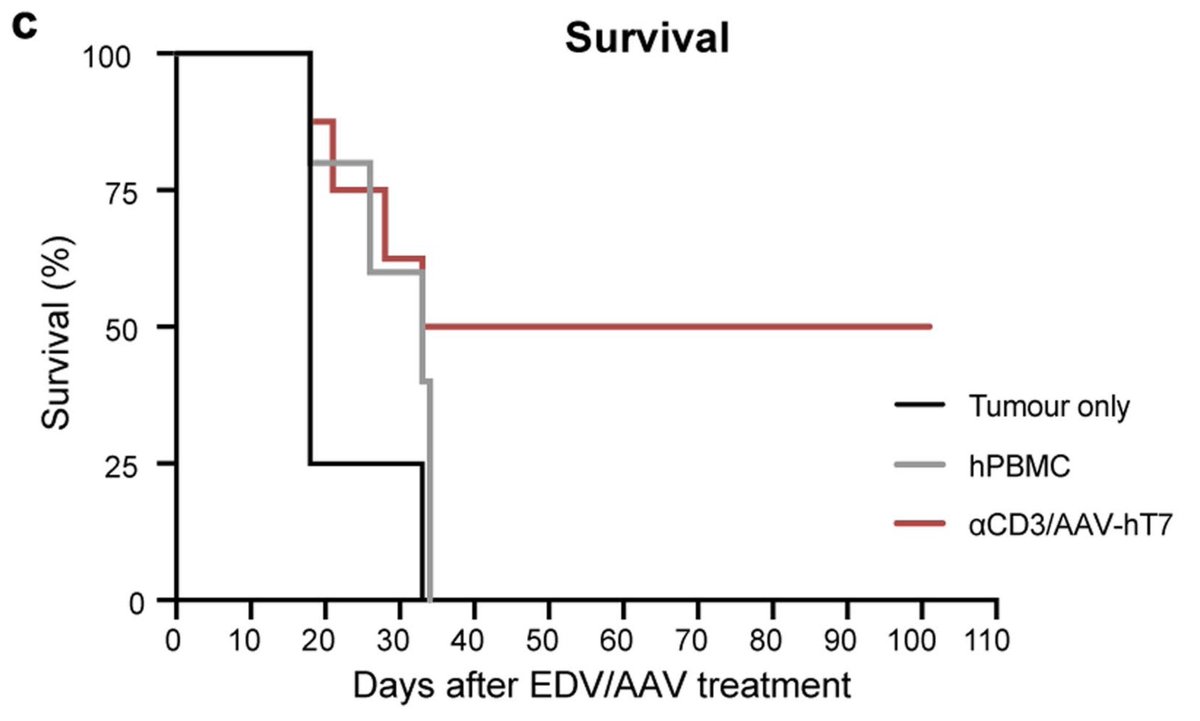 Lexi Ventures tweet media