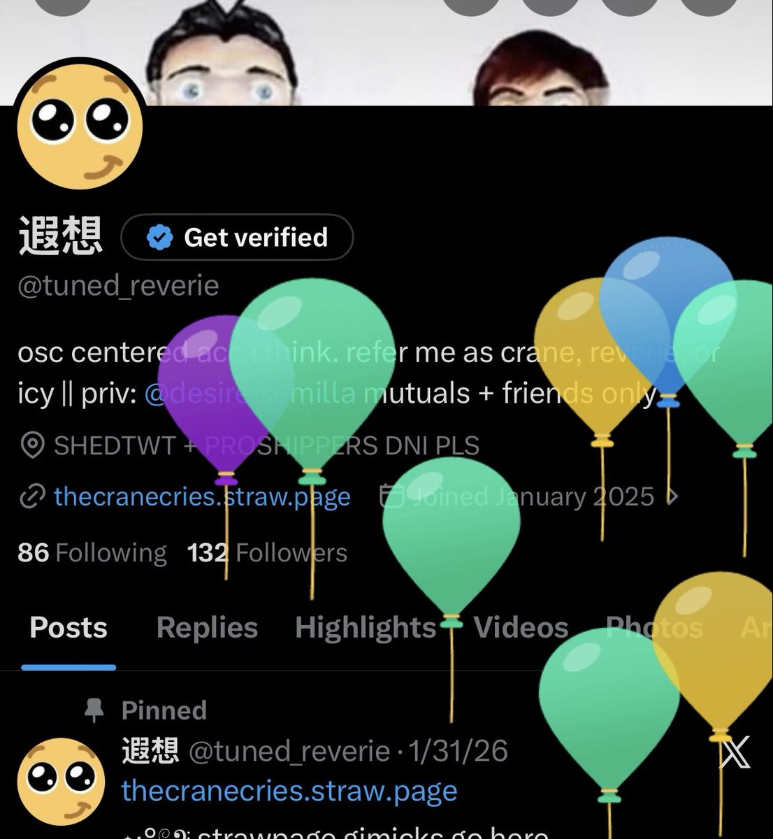 遐想 (@tuned_reverie) / Posts / X