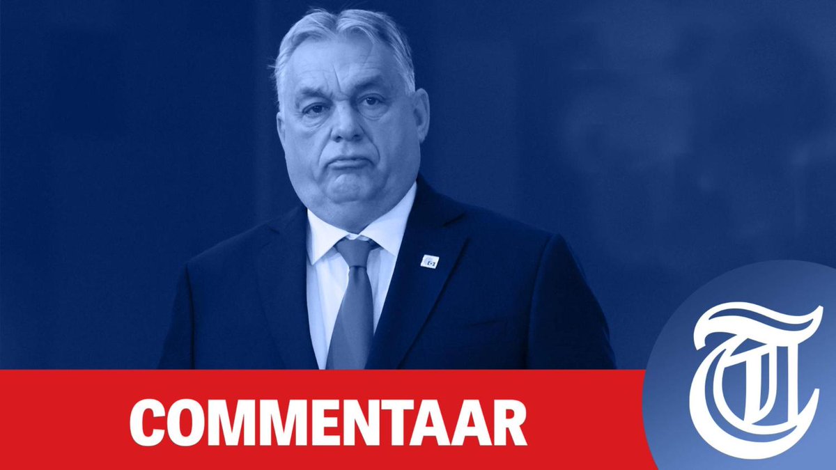 De Telegraaf tweet media