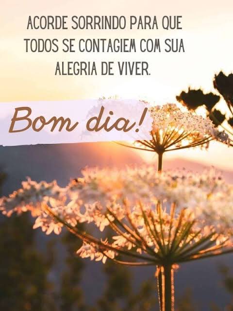 Joao Mendes tweet media