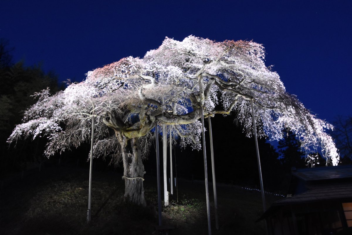 大子町 tweet media