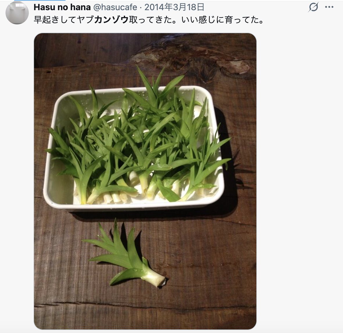 Hasu no hana tweet media