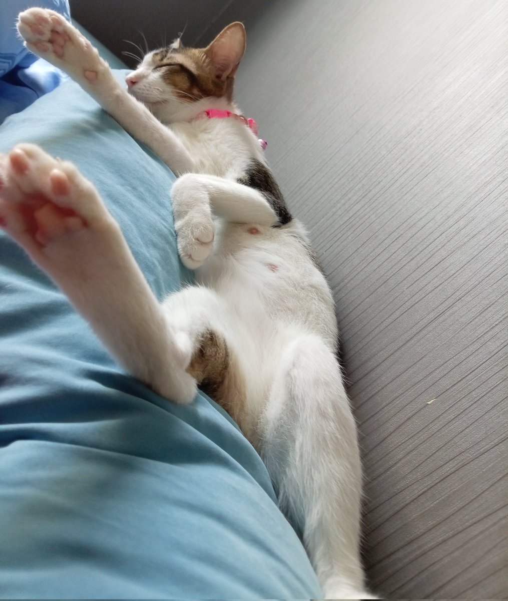 ชอมอ 🌬️🌊🫧 tweet media