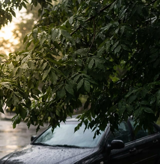 Aya A. R tweet media