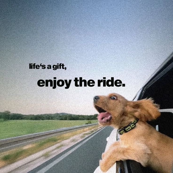 Gm to those who still Gm