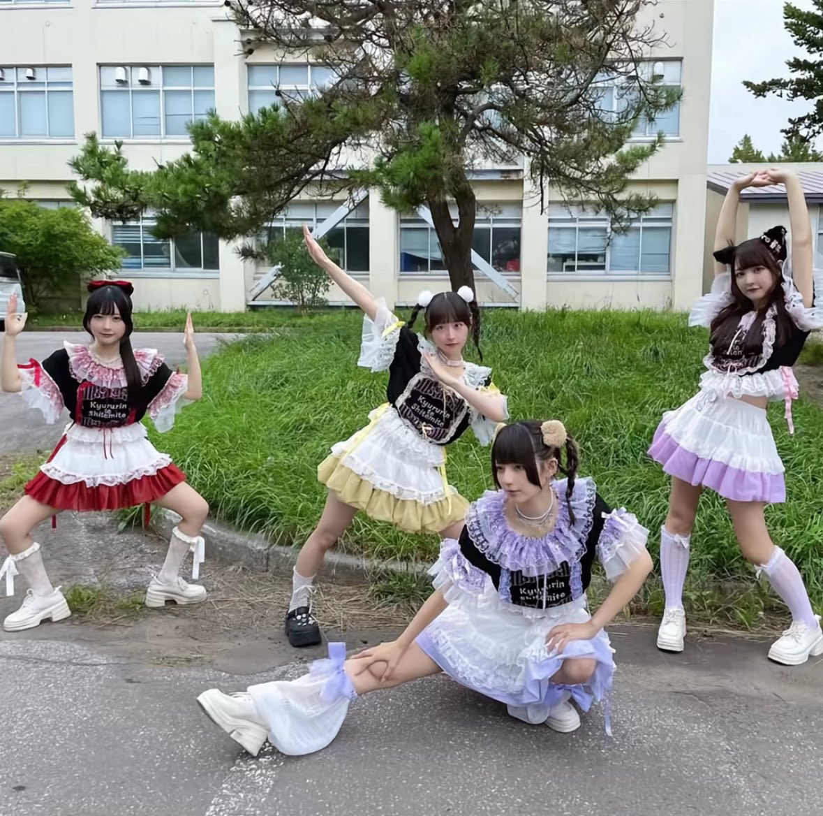 くるす🚹 tweet media