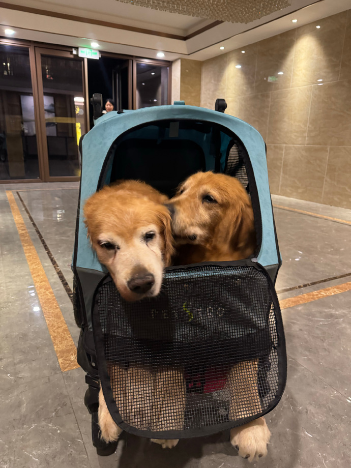 Ifeoluwapo Deborah tweet media