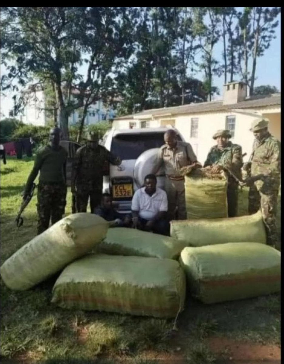 Pablo 🎱 tweet media